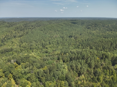 231.15 Acres Timber Land For Sale in Clifton, Tennessee - image 4