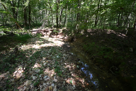 231.15 Acres Timber Land For Sale in Clifton, Tennessee - image 13