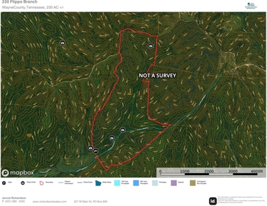 231.15 Acres Timber Land For Sale in Clifton, Tennessee - image 21