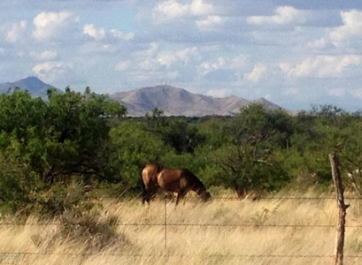 36+ acres on Dragoon Mtn Ranch, St David AZ - image 11