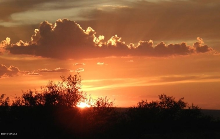 36+ acres on Dragoon Mtn Ranch, St David AZ - image 9