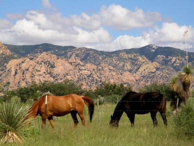 36+ acres on Dragoon Mtn Ranch, St David AZ - image 12
