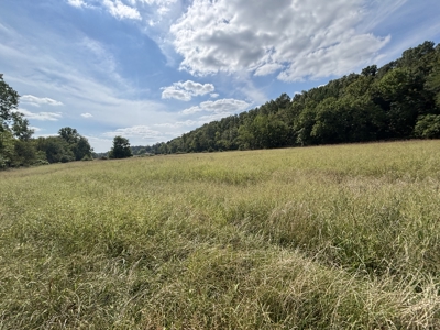 Farm For Sale In Ellington Missouri - image 32