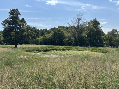 Farm For Sale In Ellington Missouri - image 2