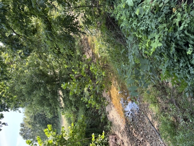 Farm For Sale In Ellington Missouri - image 33