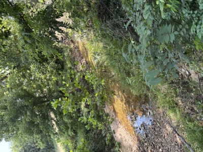 Farm For Sale In Ellington Missouri - image 34