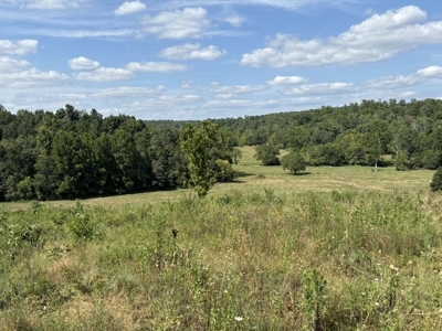 Farm For Sale In Ellington Missouri - image 24