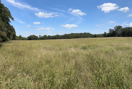 Farm For Sale In Ellington Missouri - image 9