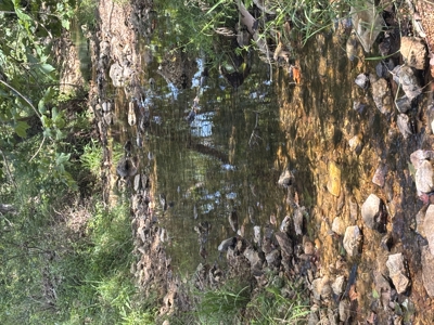 Farm For Sale In Ellington Missouri - image 12