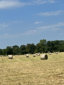 Farm For Sale In Ellington Missouri - image 38