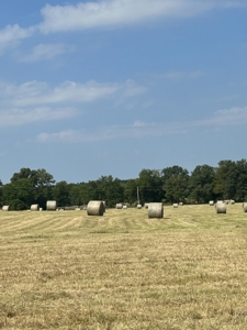 Farm For Sale In Ellington Missouri - image 36