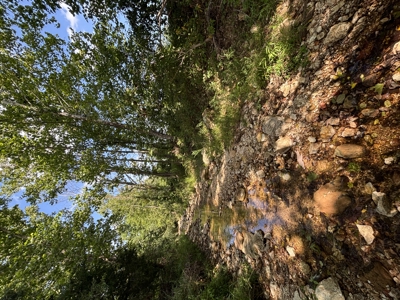 Farm For Sale In Ellington Missouri - image 28