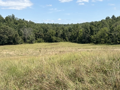 Farm For Sale In Ellington Missouri - image 5