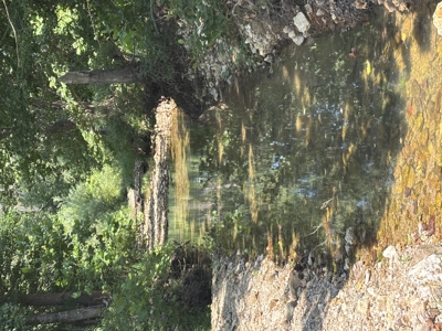 Farm For Sale In Ellington Missouri - image 7