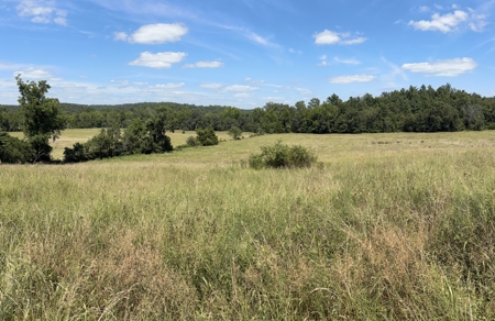 Farm For Sale In Ellington Missouri - image 6