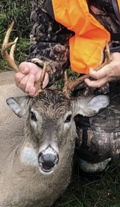 Farm For Sale In Ellington Missouri - image 39