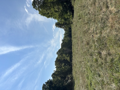 Farm For Sale In Ellington Missouri - image 23