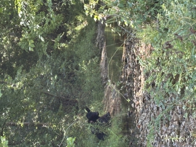 Farm For Sale In Ellington Missouri - image 22