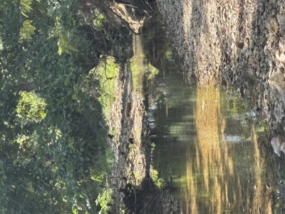 Farm For Sale In Ellington Missouri - image 8