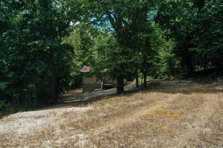 Charming Riverfront Cabin on the Gasconade in Mt. Sterling, MO - image 5
