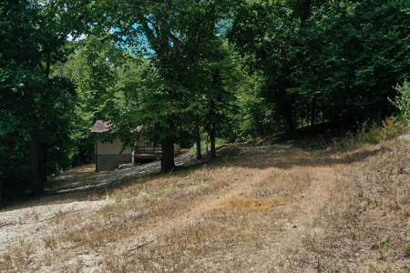 Charming Riverfront Cabin on the Gasconade in Mt. Sterling, MO - image 4