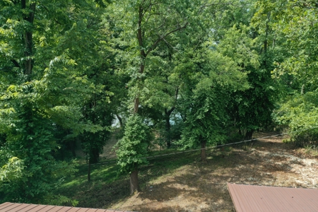 Charming Riverfront Cabin on the Gasconade in Mt. Sterling, MO - image 9