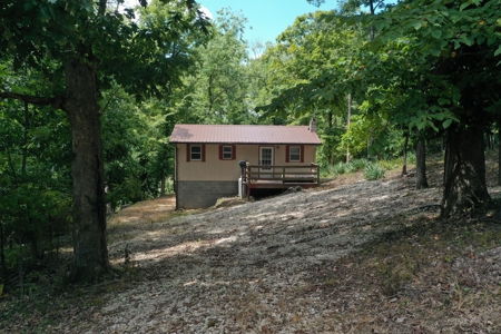 Charming Riverfront Cabin on the Gasconade in Mt. Sterling, MO - image 6
