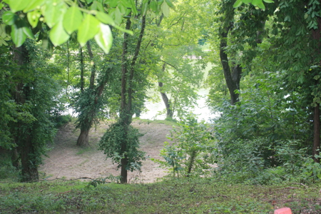 Charming Riverfront Cabin on the Gasconade in Mt. Sterling, MO - image 13