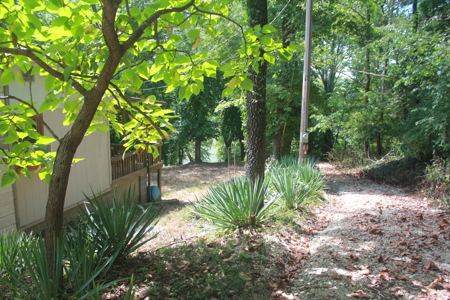 Charming Riverfront Cabin on the Gasconade in Mt. Sterling, MO - image 28