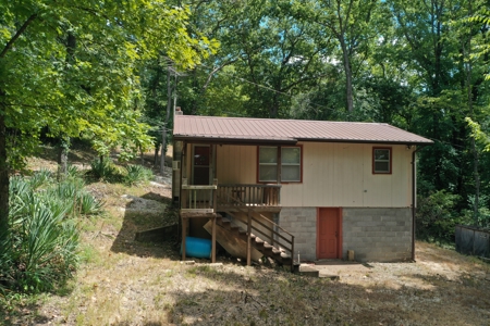 Charming Riverfront Cabin on the Gasconade in Mt. Sterling, MO - image 12