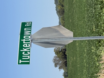 Prime 31 Acre Farmland Tract, Investment and/or Development Land. - image 11