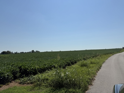 Prime 31 Acre Farmland Tract, Investment and/or Development Land. - image 4