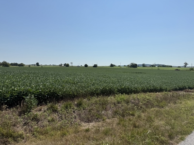 Prime 31 Acre Farmland Tract, Investment and/or Development Land. - image 2