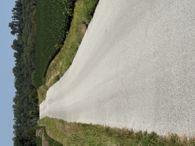 Prime 31 Acre Farmland Tract, Investment and/or Development Land. - image 10