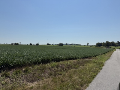 Prime 31 Acre Farmland Tract, Investment and/or Development Land. - image 3