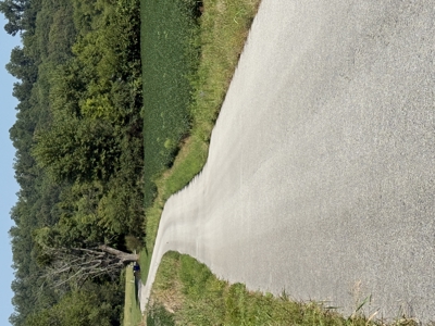 Prime 31 Acre Farmland Tract, Investment and/or Development Land. - image 9