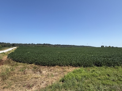 Prime 31 Acre Farmland Tract, Investment and/or Development Land. - image 12