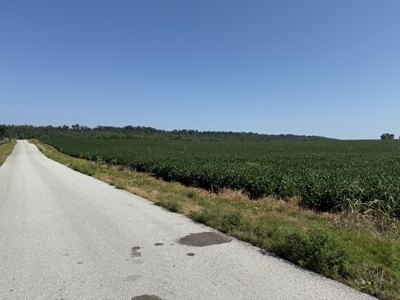 Prime 31 Acre Farmland Tract, Investment and/or Development Land. - image 15
