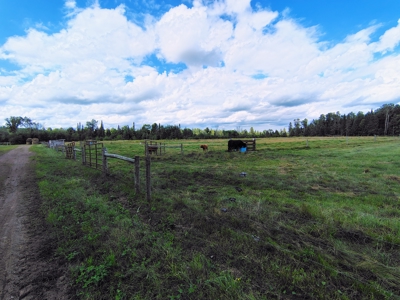 Country Home with Acreage for Sale in Glidden, WI - image 39