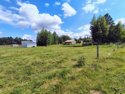 Country Home with Acreage for Sale in Glidden, WI - image 33