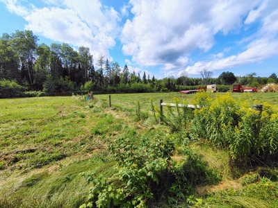 Country Home with Acreage for Sale in Glidden, WI - image 32