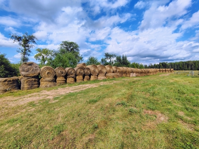 Country Home with Acreage for Sale in Glidden, WI - image 34