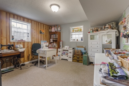 Home on 7 acres with cabin and Buffalo River access - image 26
