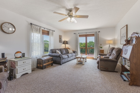 Home on 7 acres with cabin and Buffalo River access - image 9