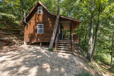 Home on 7 acres with cabin and Buffalo River access - image 42