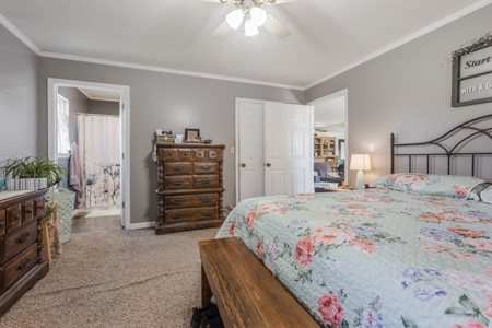 Home on 7 acres with cabin and Buffalo River access - image 15