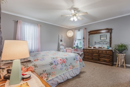 Home on 7 acres with cabin and Buffalo River access - image 14
