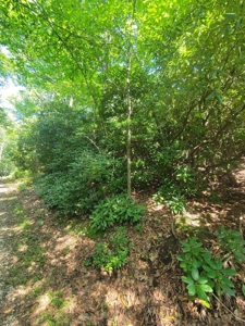 Lot for Sale in Meadows of Dan VA - image 6
