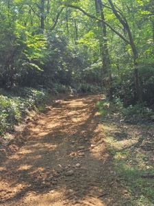 Lot for Sale in Meadows of Dan VA - image 2