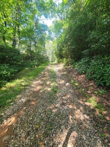 Lot for Sale in Meadows of Dan VA - image 4